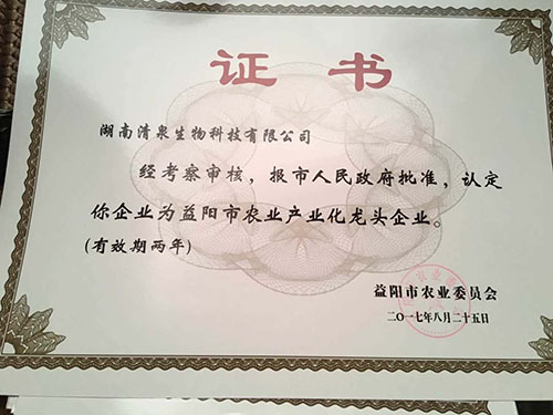 荣誉资质